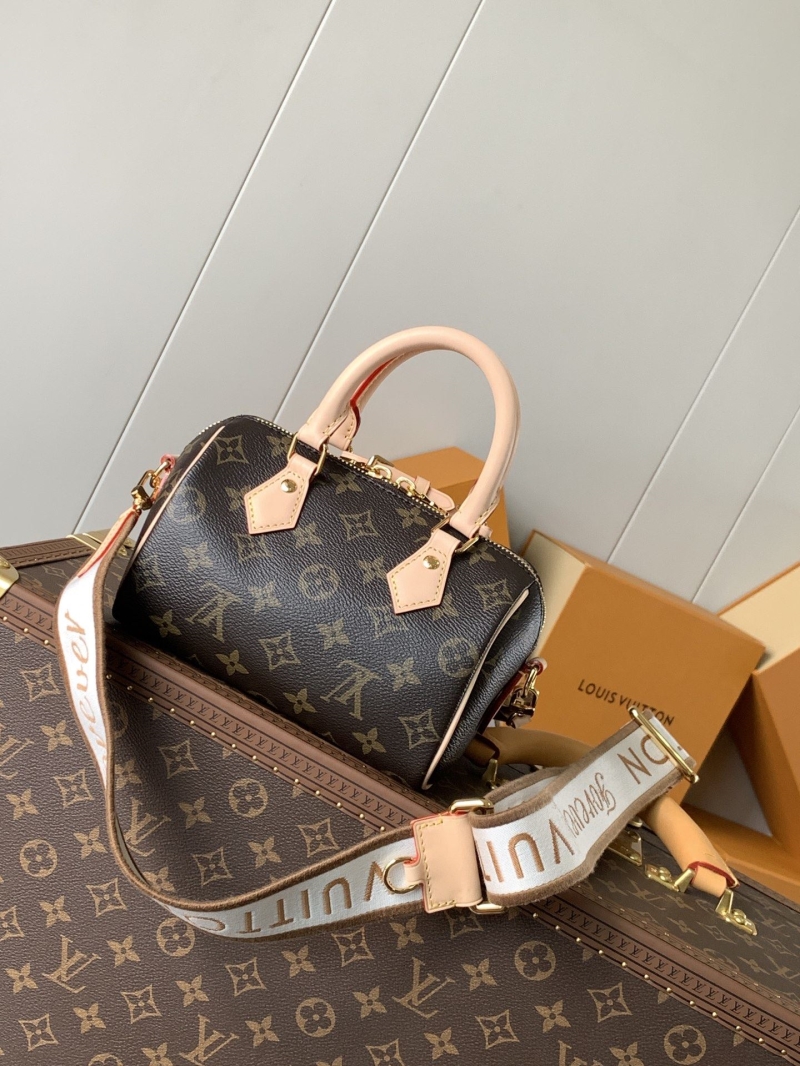 LV Speedy Bags